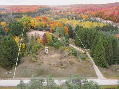 3116 Needles Dr #5, Harbor Springs, MI, 49740
