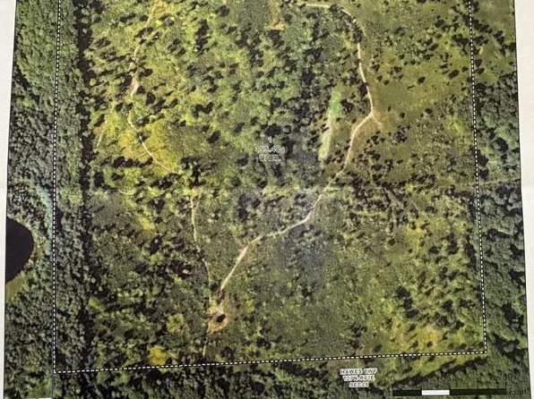 E Ritchie Rd, Lincoln, MI 48742