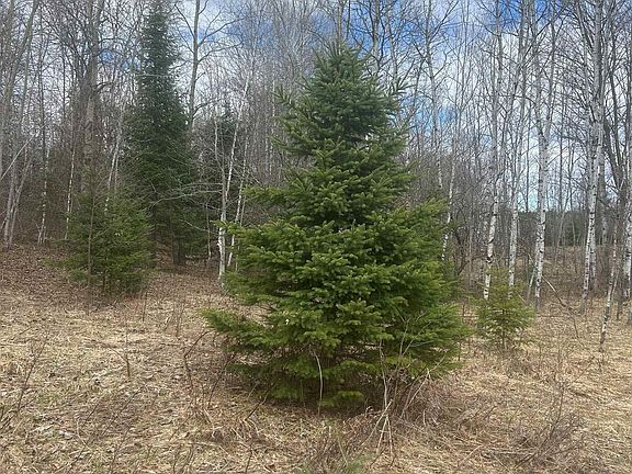 4th image of 10 Mill Pond Rd #2
