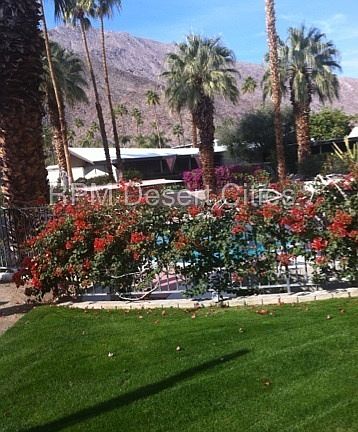 5th image of 295 E Twin Palms Dr