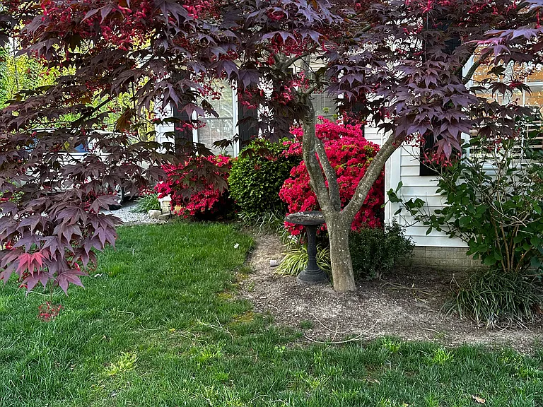 8907 Jameson St — Photo 8
