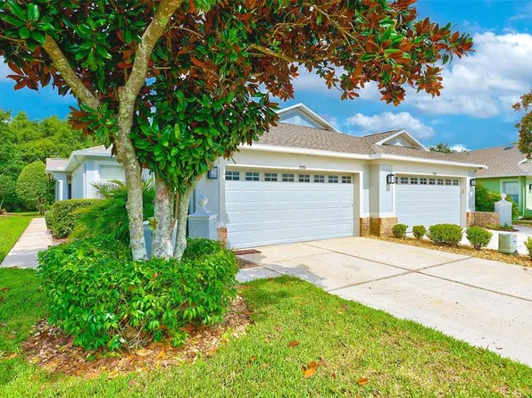 7551 Helen White Ln, Land O Lakes, FL 34637