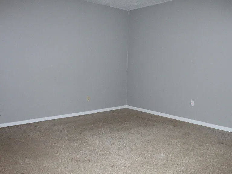 446 Pheasant Run Dr — Photo 39