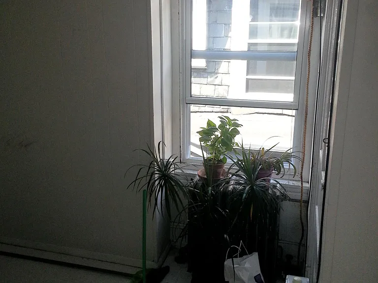 4734 Hazel Ave #3 — Photo 8