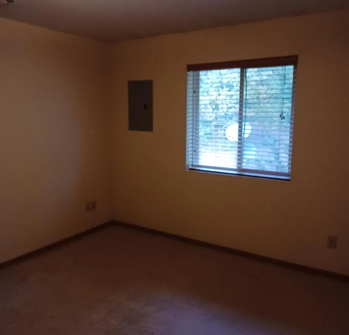 2 bed, $1,300 — Photo 3