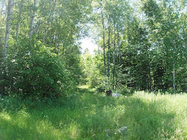 2nd image of N15679 BASS LAKE RD