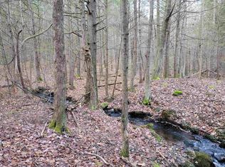 0 Lang Rd, Winchester, NH 03470