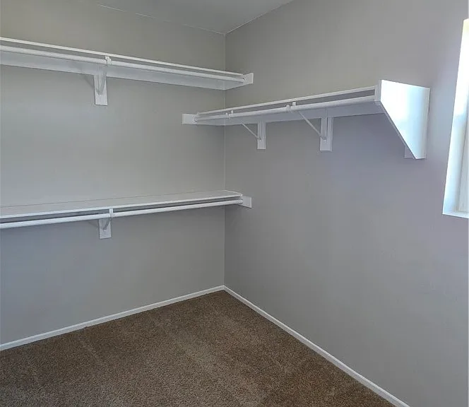 10546 Pampas Ct — Photo 12