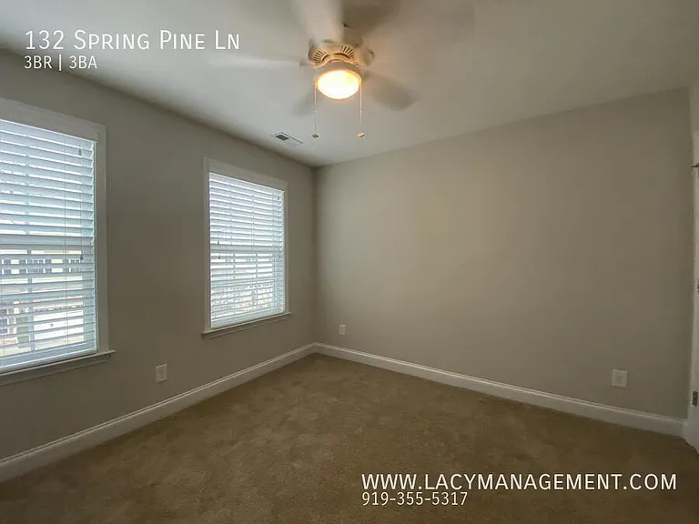 132 Spring Pine Ln — Photo 23