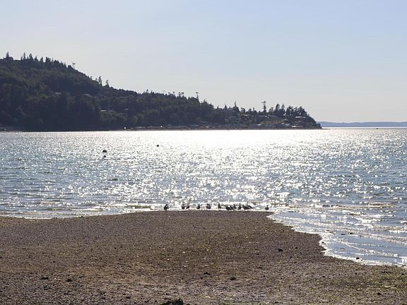 Great beach walks and boating just across small road