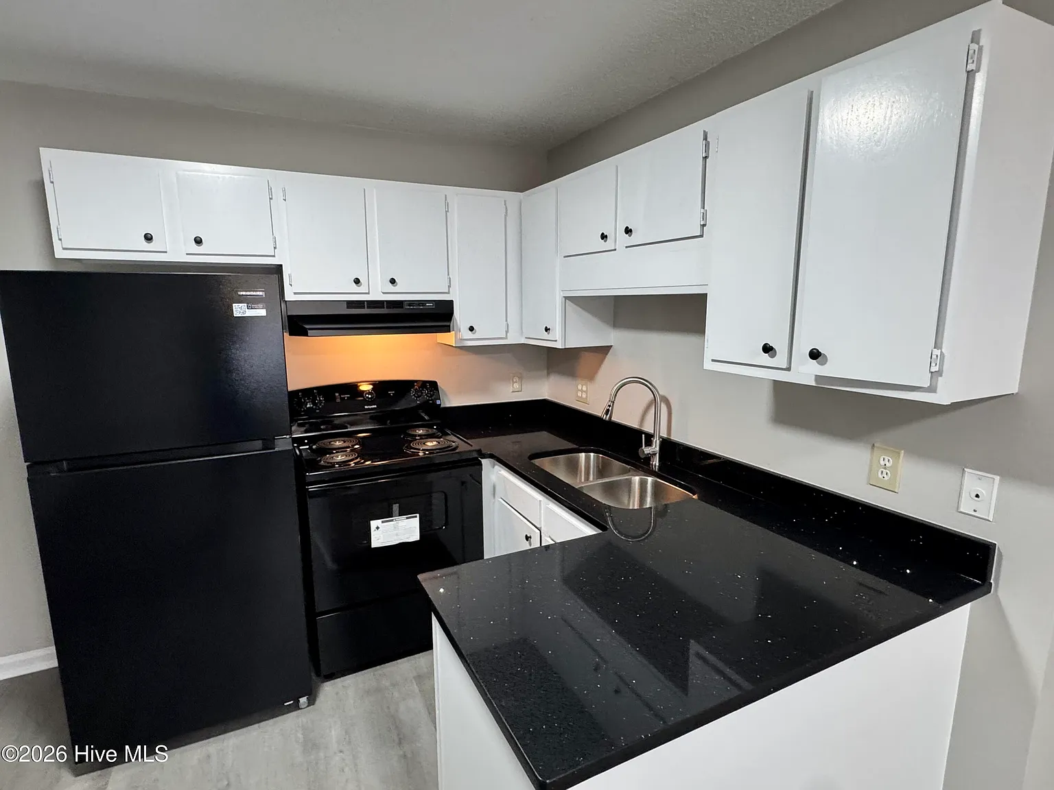 1 bed, 1.0 bath, $699 — Photo 4
