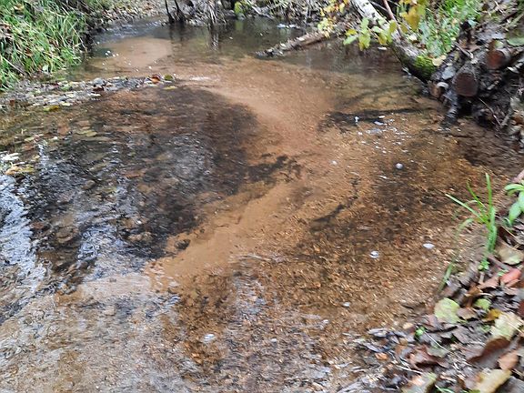 4th image of E Antler Rd