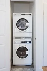 Rented by Bold New York