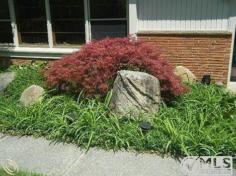 DSCF3238.JPG