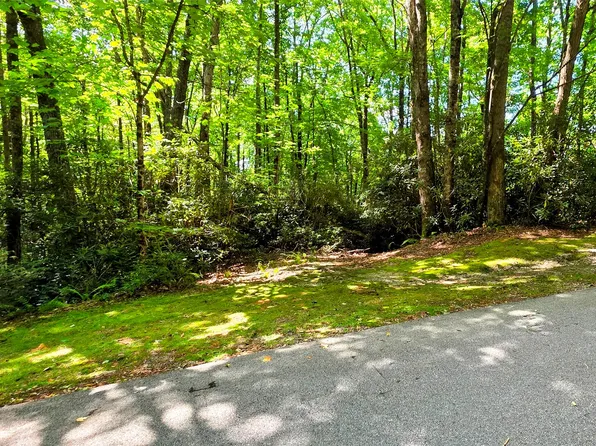 Lt 104 Black Oak Drive, Sapphire, NC 28774