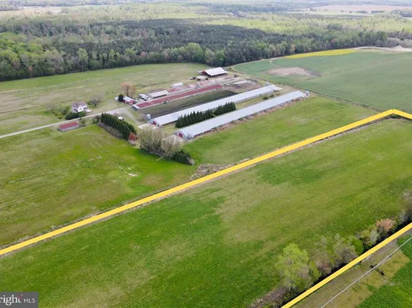 Sheppards Crossing Rd, Willards, MD 21874