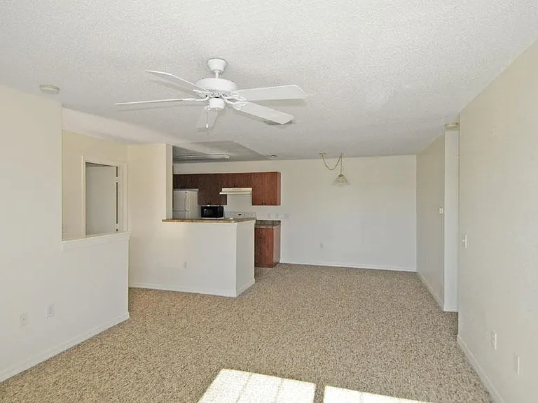 Royal Palm Key — Photo 9