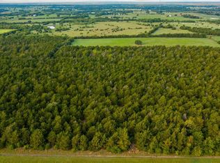 534 Vineyard View Trl LOT 14, Carmine, TX 78932