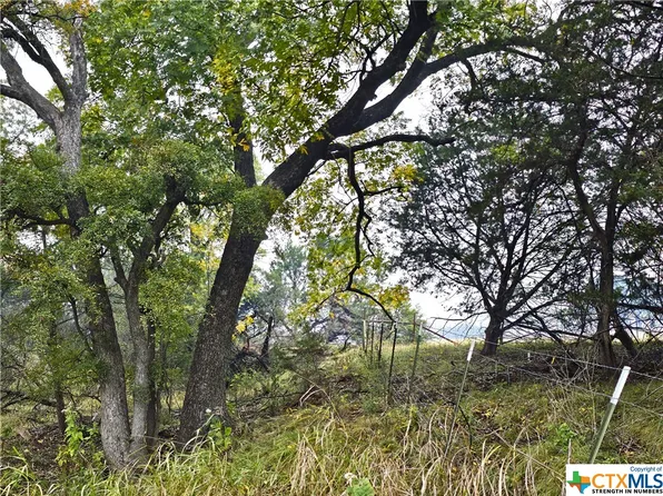 County Road 3420, Lampasas, TX 76550