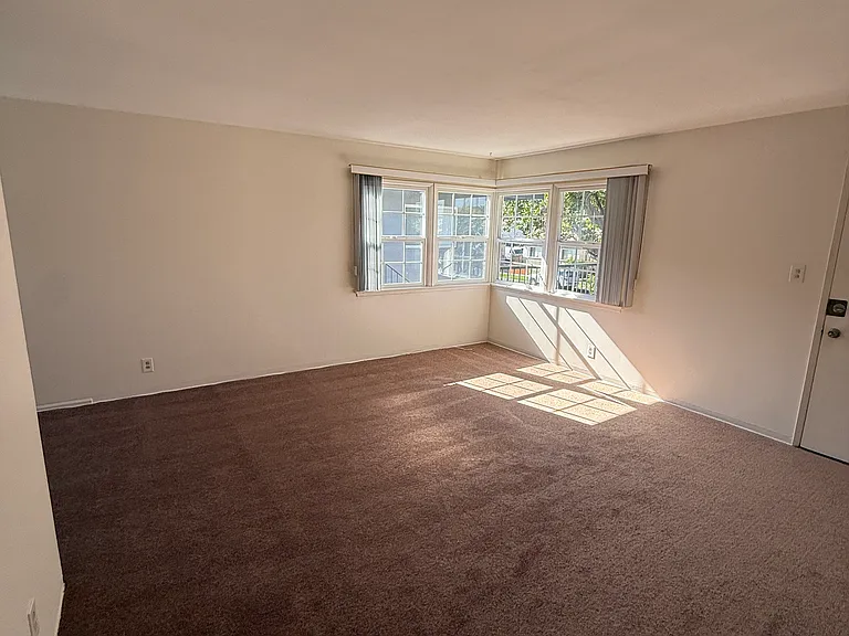 Living room front windows overlooking treetops