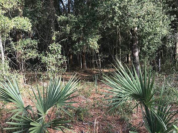 3rd image of 126 IDLEWOOD ACRES Road