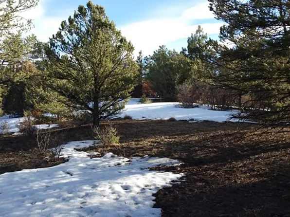 426 Alden Ln, Cotopaxi, CO 81223