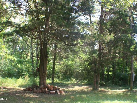 4th image of 5814 Cedar Run Dr