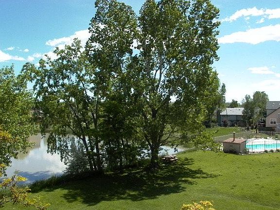 Pond and pool on back lawn