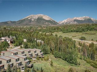 168 Fawn Ct #168, Silverthorne, CO 80498
