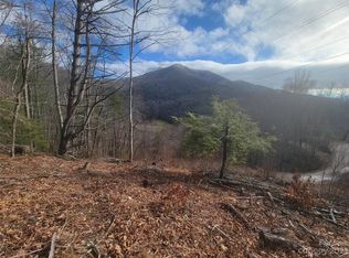 1800 Water Wheel Cv, Clyde, NC 28721