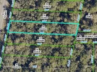 7474 Treiman Blvd #34, Webster, FL 33597