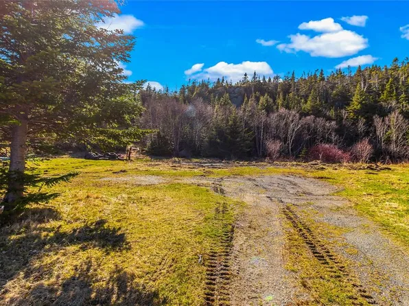 316A Main Road, Tors Cove, NL A0A4A0