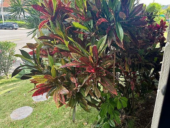 5th image of 1416 Hunakai St #111