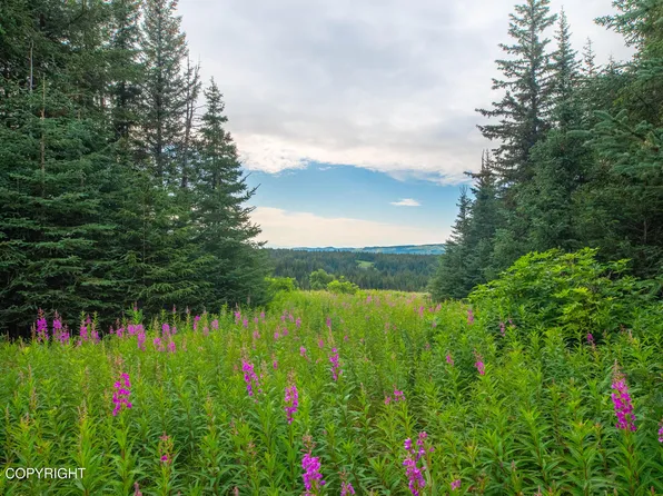Nka Skyline Dr, Homer, AK 99603