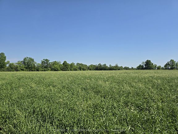 4th image of 0 Shannonville Rd