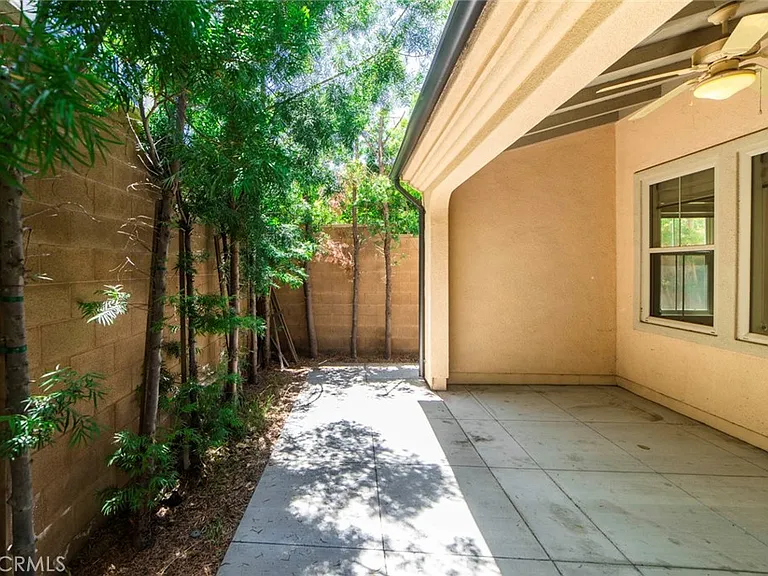 33 Bromeliad — Photo 29