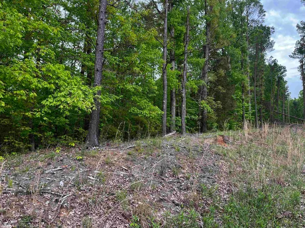 1670B Limon Gage Rd, Bethel Springs, TN 38315