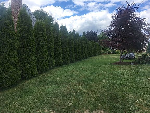 4th image of 171 Bishop Rd