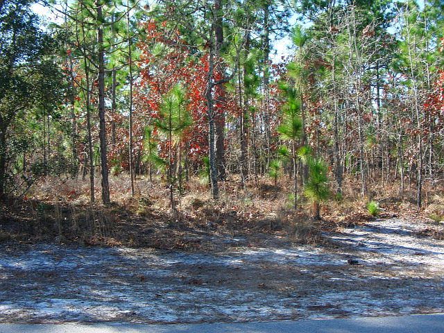 1st image of 54-Lot Pinnacle Parkway