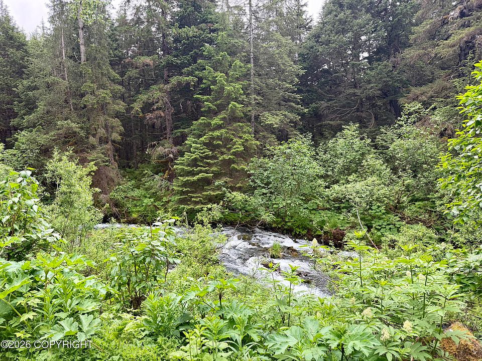 2nd image of 165 Virgin Creek Rd