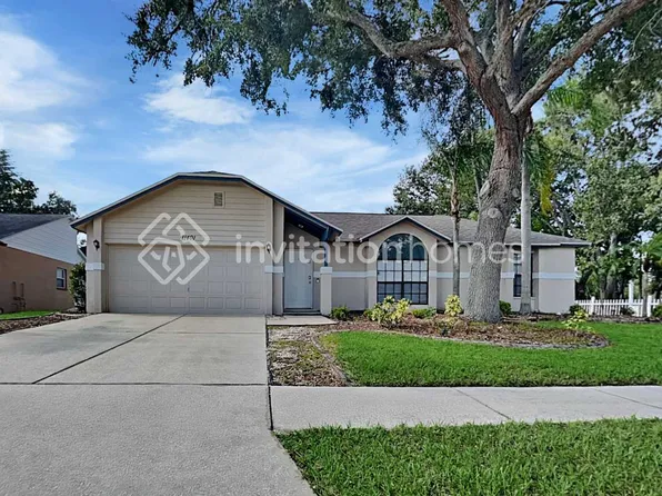 11401 Andy Dr, Riverview, FL 33569