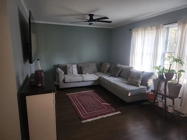Living room features a lot of natural light