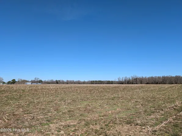 0 Cedar Fork Rd Lot 1, Beulaville, NC 28518