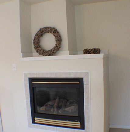 Owners Suite Fireplace