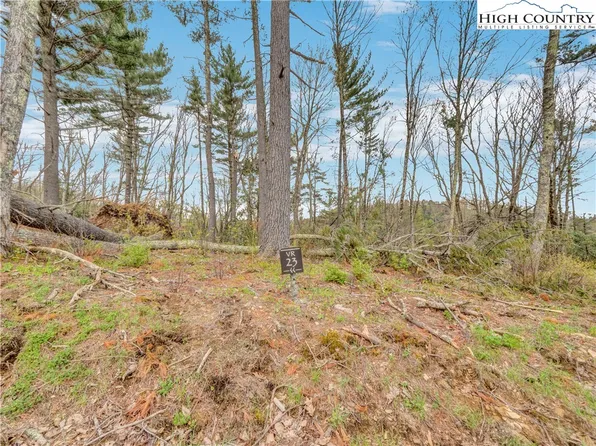 VR23 Fernwood Trail, Elk Park, NC 28604