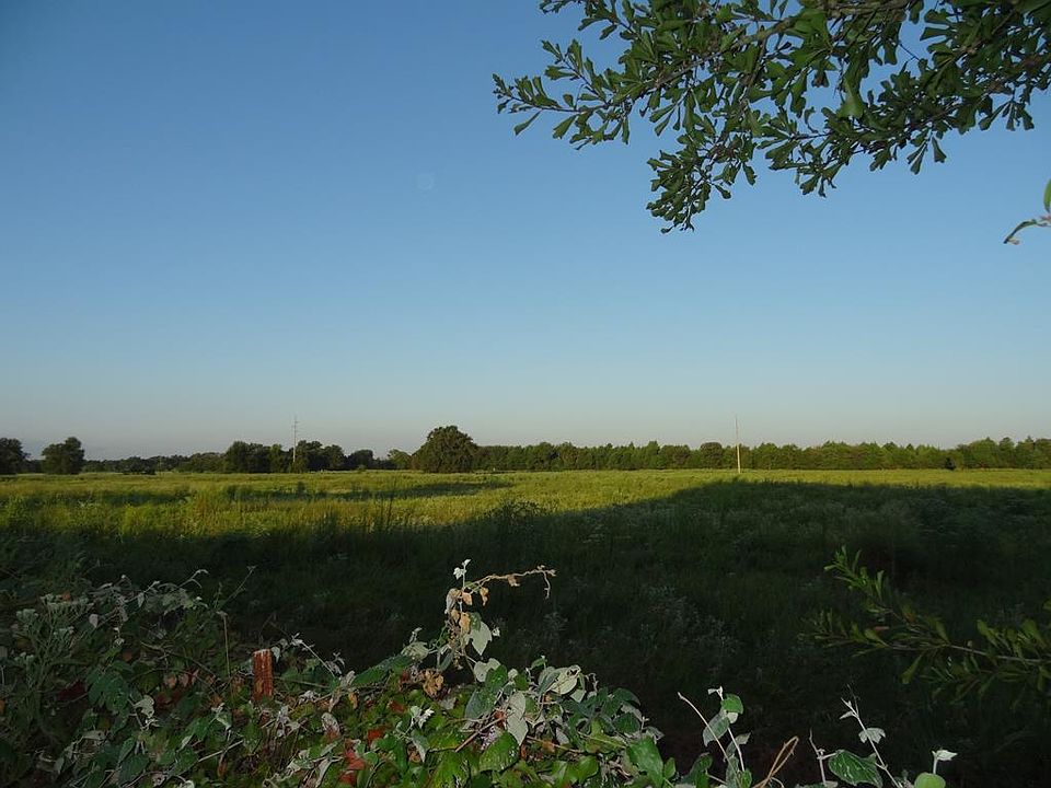 2nd image of LOT 2 County Road 2501