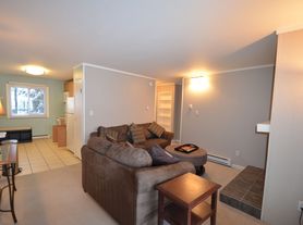 67 Peaks View Ct, Breckenridge, CO