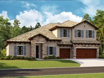 1739 Alafia Trail Dr, Lithia, FL, 33547