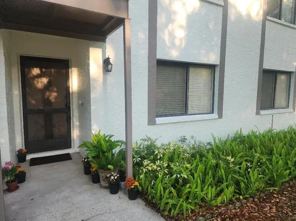 603 Baldwin Ave APT B, Safety Harbor, FL 34695