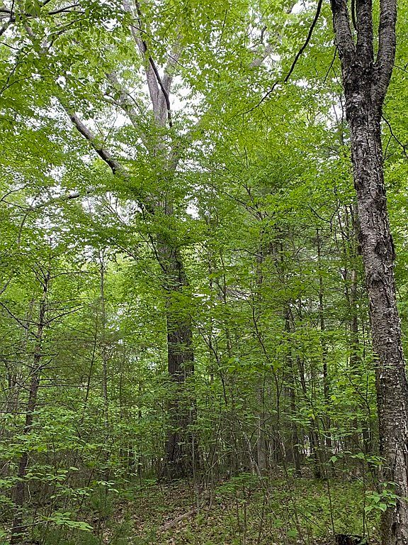 LOT Brimfield Rd, Monson, MA 01057 MLS 73119232 Zillow